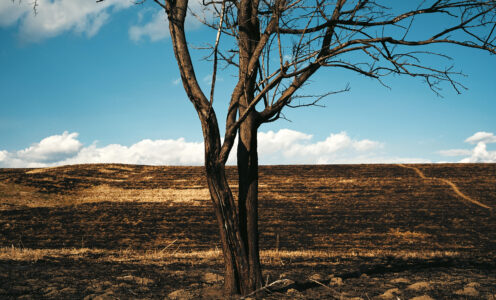 March #4