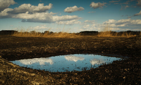 March #1
