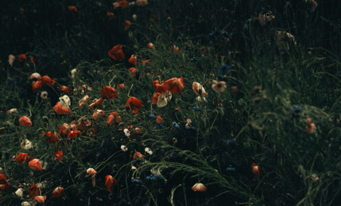 May #3