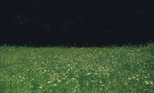 June #2