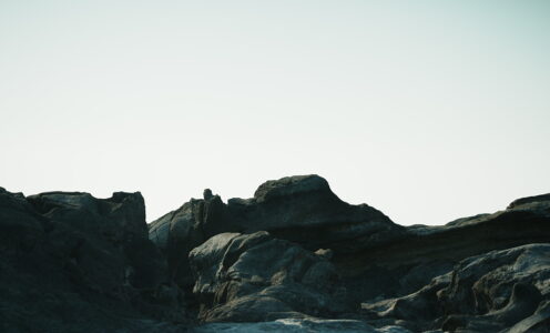 February #3
