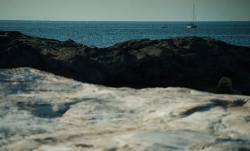 February #2