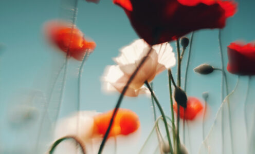 May #5