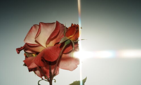 May #1